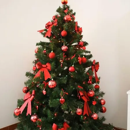 Linda Musei Vaticani